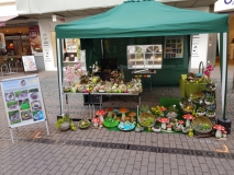 unser Marktstand bei "Worms blüht auf" 2019"