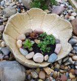 2019-GK06 (H: 15cm, DM: 25cm)