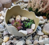 2019-GK07 (DM: 17cm)