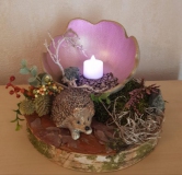 Beispiel aus der Zimmerkollektion